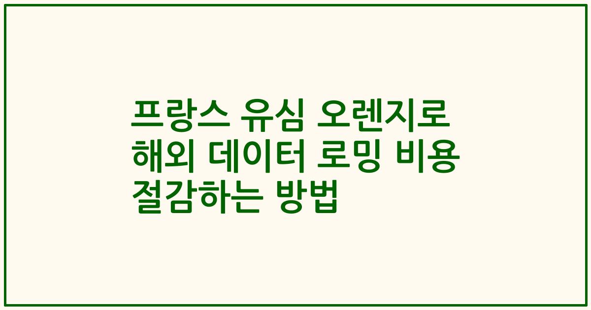 프랑스 유심 오렌지로 해외 데이터 로밍 비용 절감하는 방법